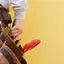 Handyman repair service in Arlington, TX for home fixes and improvements