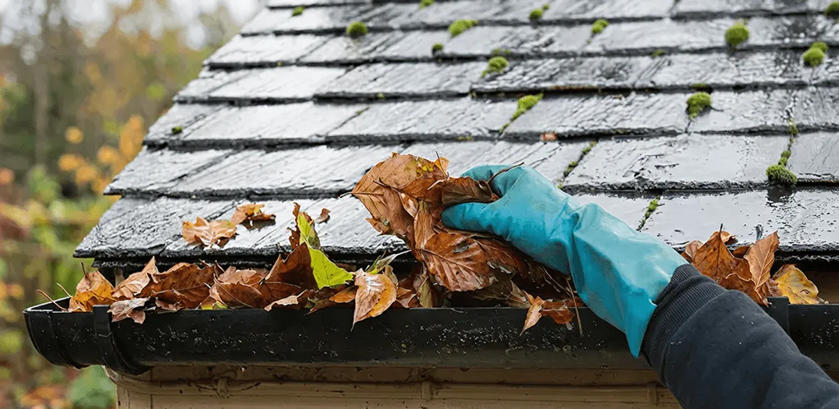 Gutter cleaning technician clearing wet leaves from roof gutters in Arlington, TX